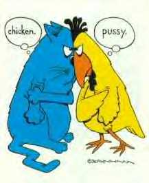 chickenpussy.jpg