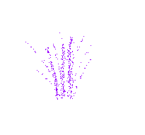 fireworks.jpg
