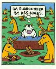 imsurroundedmyassholes.jpg