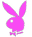 playbotbunny.jpg