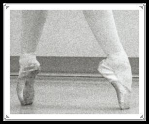 pointeshoes.jpg